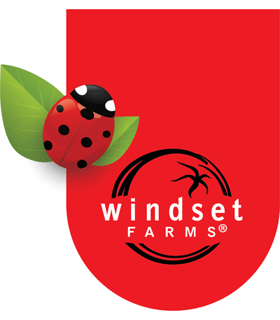 Windset Farms