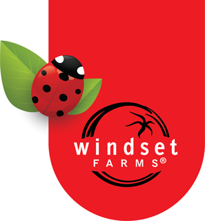 Windset Farms